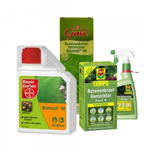 Wie lange dauert es bis Banvel M wirkt?