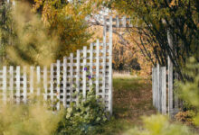 Den Gartenzaun gegen Wind und Befall wappnen