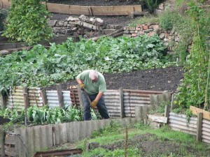 Was darf ein Mieter im Garten – Rechte und Pflichten