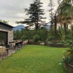 Substral Magisches Rasenpflaster