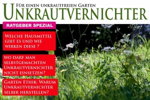 Unkrautvernichter selber machen – Hausmittel Anwendung & Wirkung